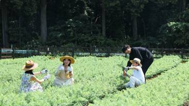 子供向けアクティビティ / 8