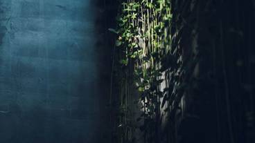 テラス / パティオ / 20