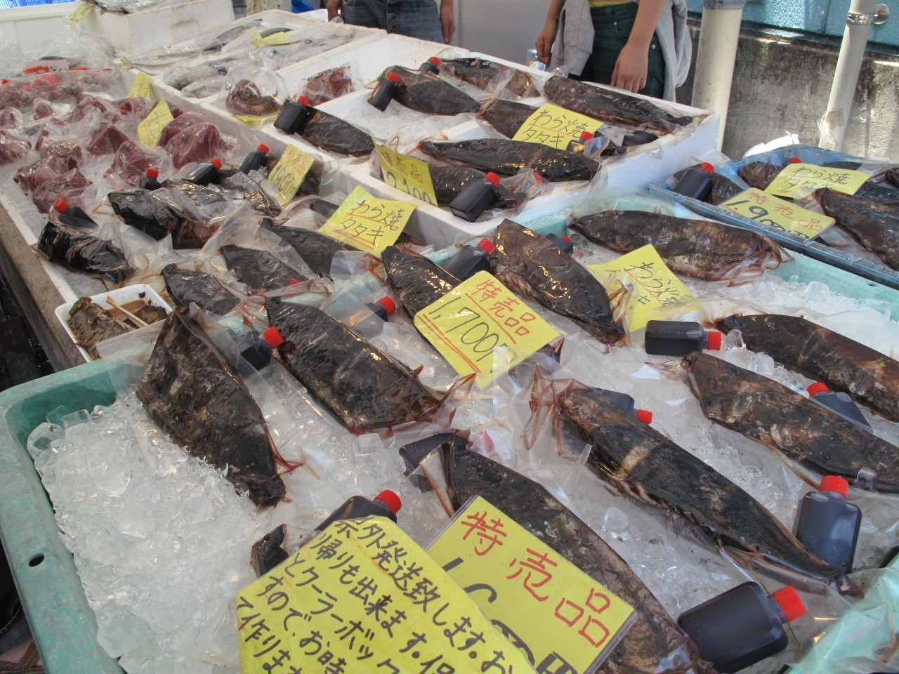 土佐沖の恵み！海産物551629