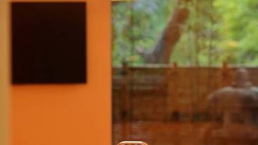 専用キッチン / 19