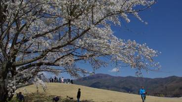 施設の敷地 / 10