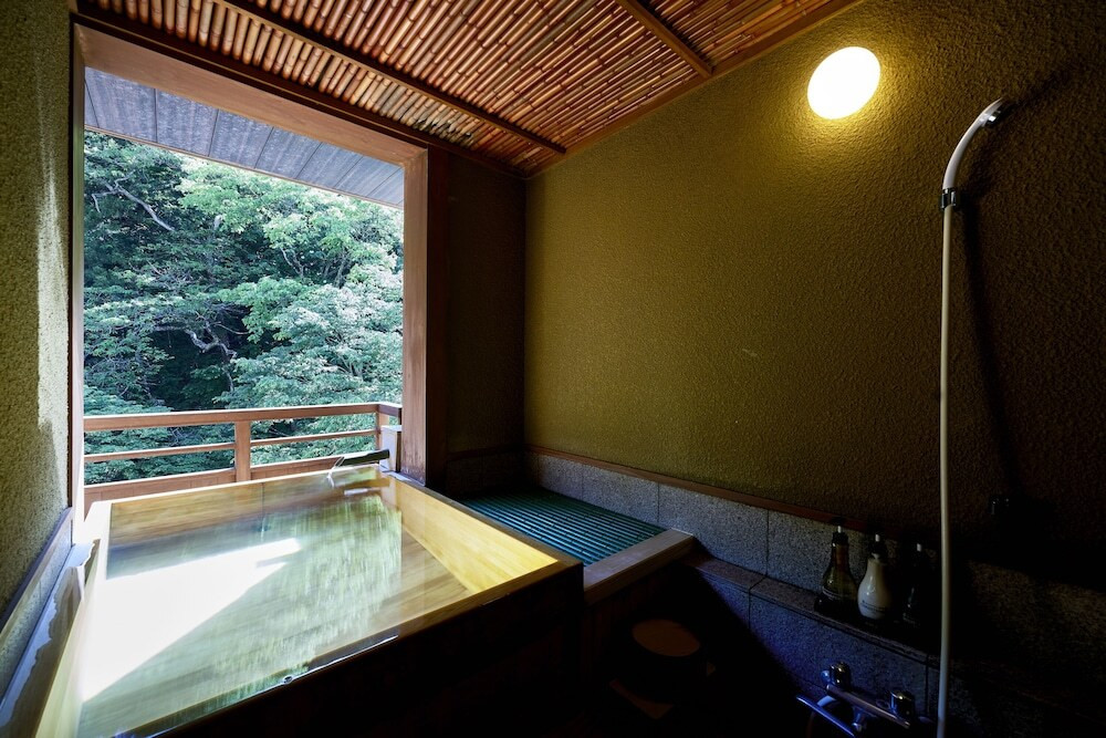 100%源泉かけ流しのお湯と渓流の絶景、里山料理をふたりで満喫3997360