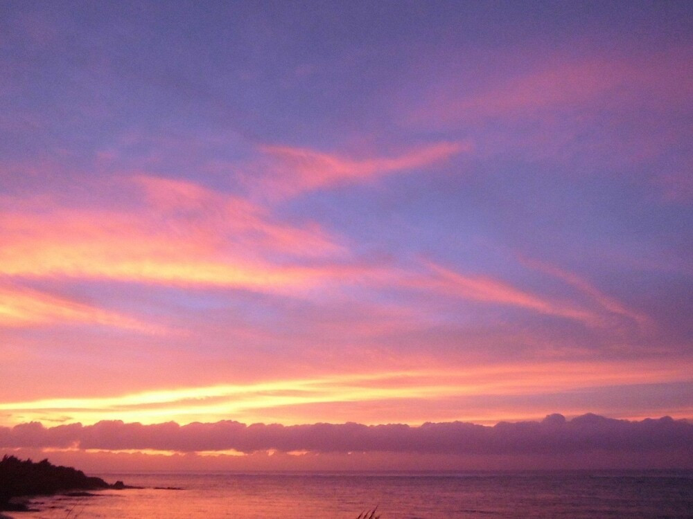 ビーチ / オーシャン ビュー