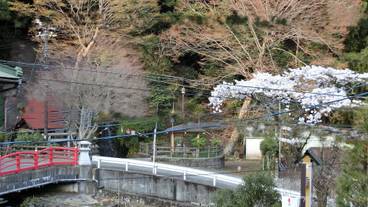 施設からの眺望 / 23