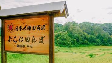 ランド ビュー / 15