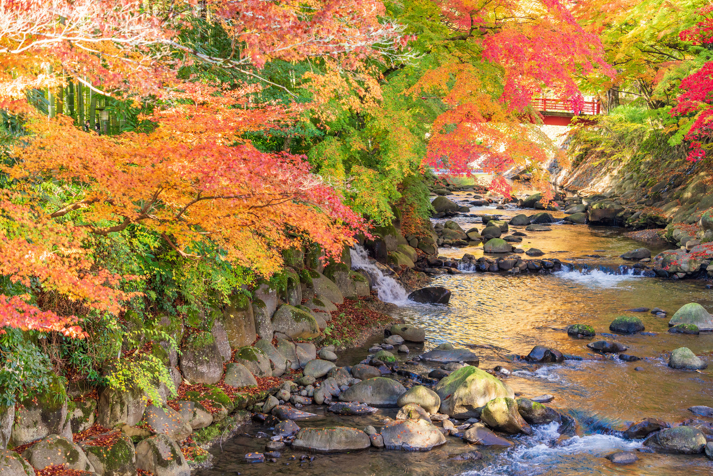 （静岡県）修善寺温泉　桂川の紅葉