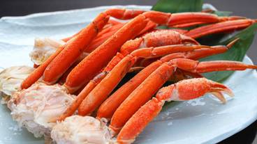 レストラン / 19