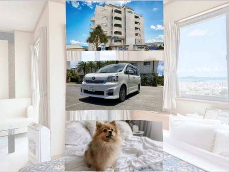 ホテルパシフィック ビュー / 1