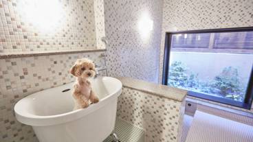 ルシアン旧軽井沢（ルシアンキュウカルイザワ） / 5