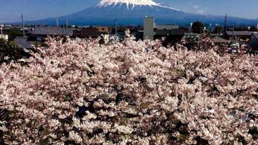 施設からの眺望 / 14
