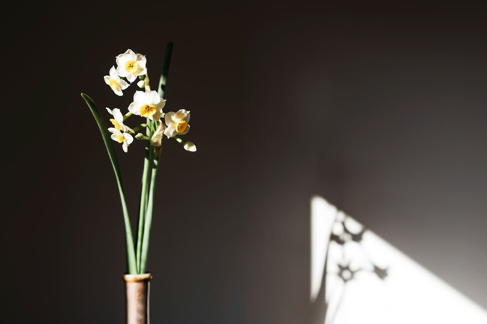 さりげなく飾られた花