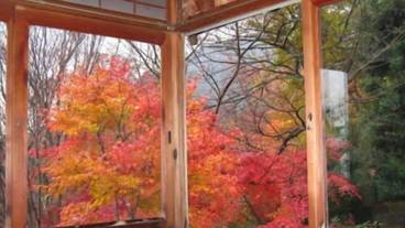 部屋からの景観 / 12