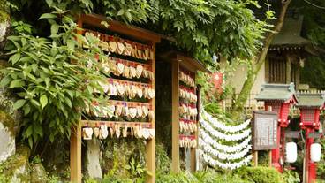 箱根湯本温泉 天成園(ハコネユモトオンセン テンセイエン) / 1