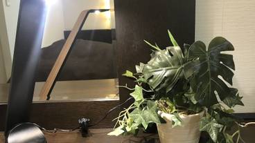 客室の設備とサービス / 14