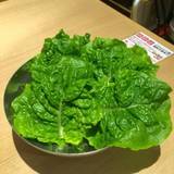 焼肉 白雲台 グランフロント大阪店（ヤキニクハクウンダイ）