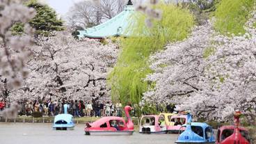 観光スポット / 7