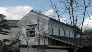 Cottage (Type 2&3) 6-10 Guests