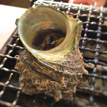 「焼蛤 浜茶屋 向島」料理 1155003 2016 さざえさん