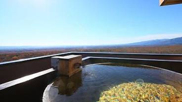 貸切露天風呂 / 1