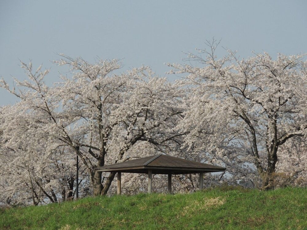 施設からの眺望