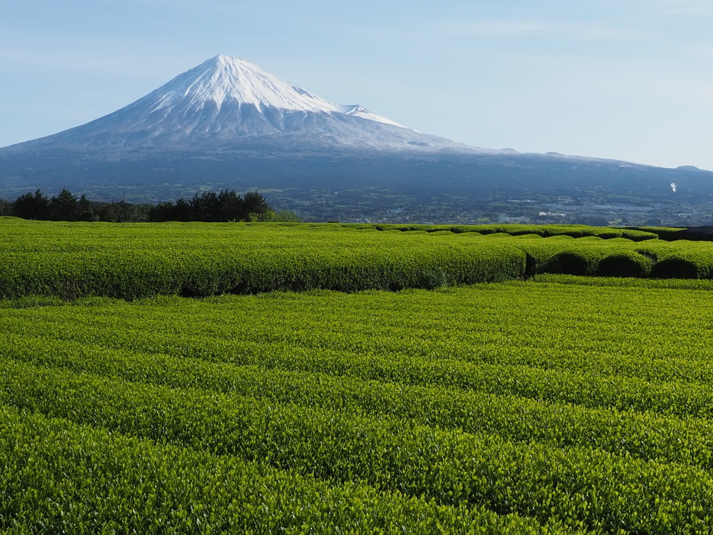 伊豆に沼津、富士など見どころいっぱいの「静岡県」3845629