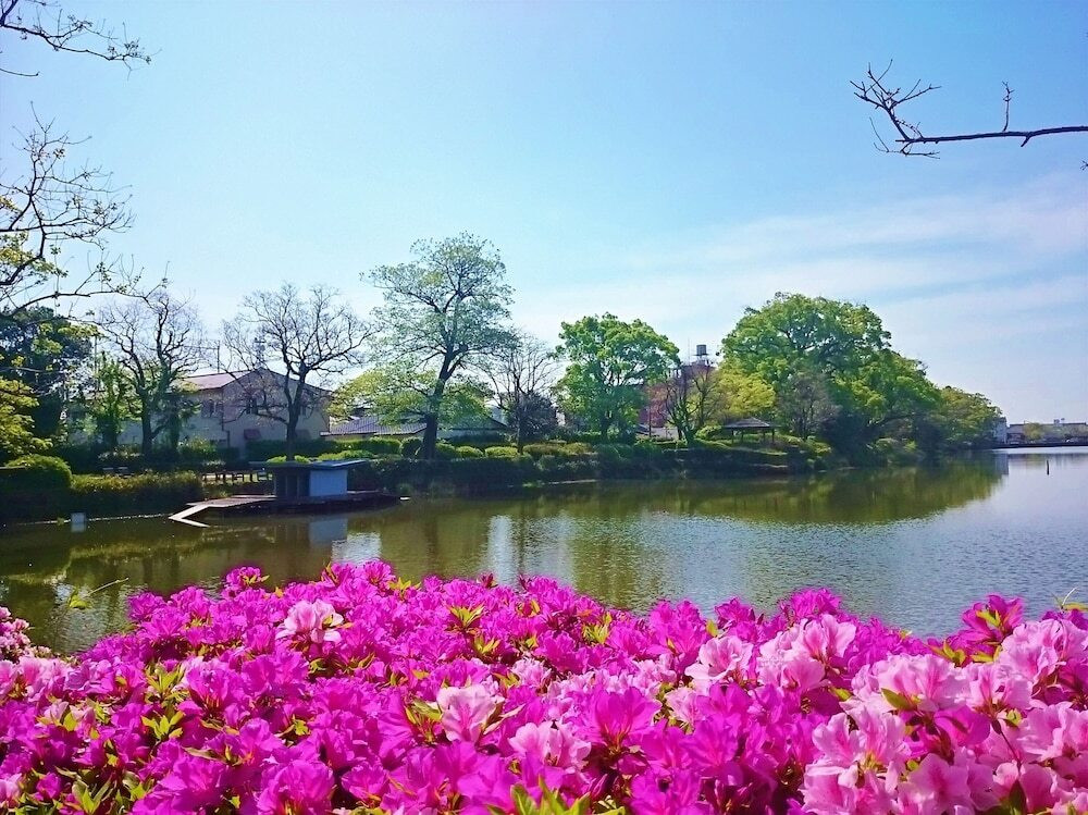 ランド ビュー