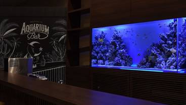 バー (施設内) / 1