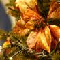 クリスマスカップルプラン“Sweet Xmas” | こんぴら温泉 琴平花壇