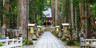 山荘 天の里