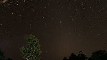 テラス / パティオ / 4