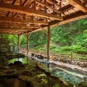 作並温泉 鷹泉閣 岩松旅館（宮城県 旅館） / 3