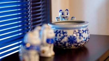 内装の詳細 / 10