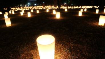 シティ ビュー / 26