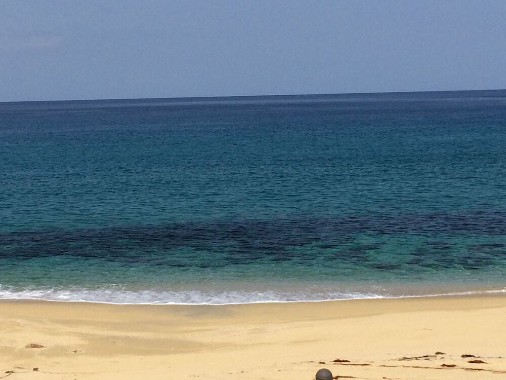 施設からの眺望