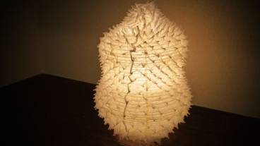 客室の設備とサービス / 15