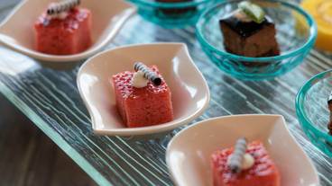 ビュッフェ / 13