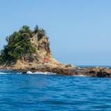 「鯛の浦遊覧船」で
“神秘の鯛”に出合う / 1