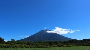 バーベキュー / ピクニック エリア / 10