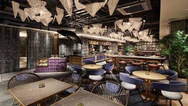 トラットリア M KTOTO / 3