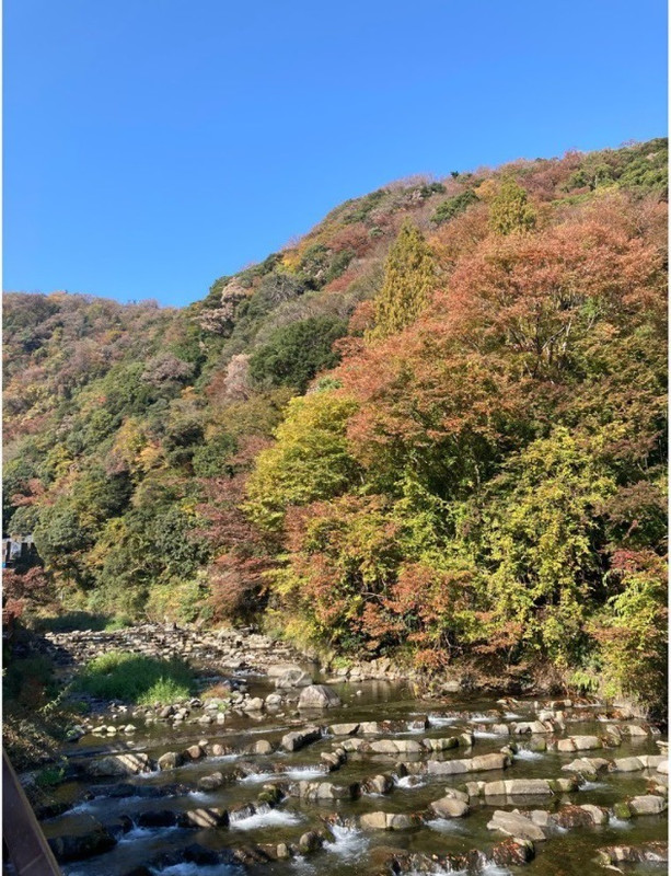 ftnuiinuさんの写真 / 5