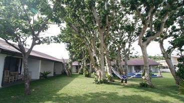 施設の敷地 / 10