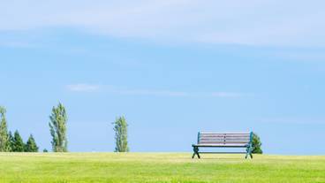 Scenery within the premises / 1