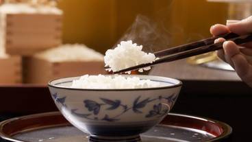 食事・飲み物 / 28