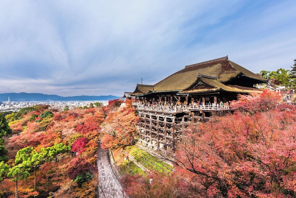 エコツアー