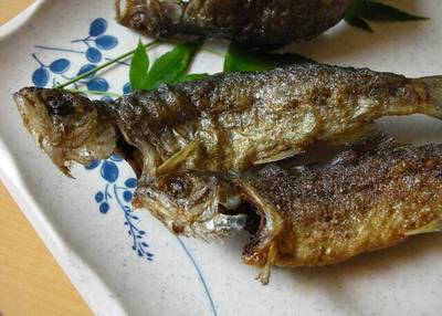 有馬ます池