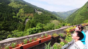 テラス / パティオ / 6