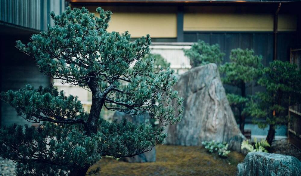 巨石を配した美しい庭 / 3