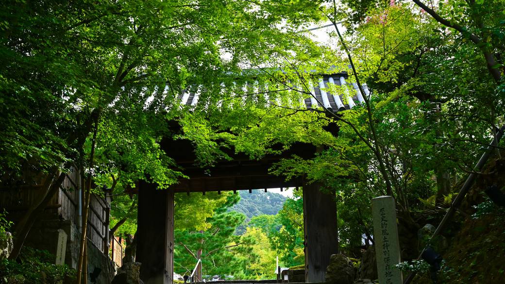 高台寺 / 1