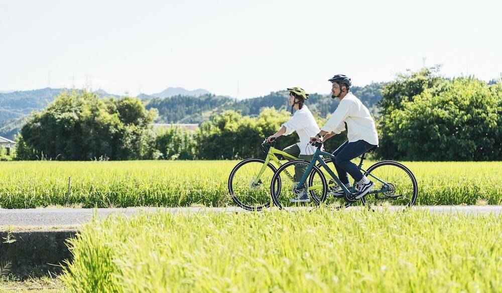 田園風景を巡る / 2