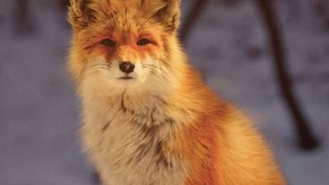 施設からの眺望 / 28